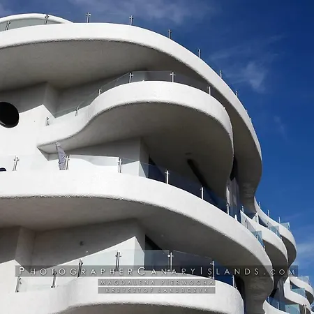 L'elegante Palm-mar